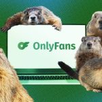 Cientistas criam OnlyFans para financiar investigação sobre marmotas