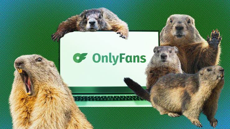 Onlyfans Cientistas